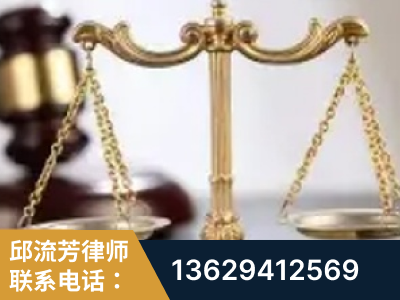 佛山-委托诉讼代理人出庭